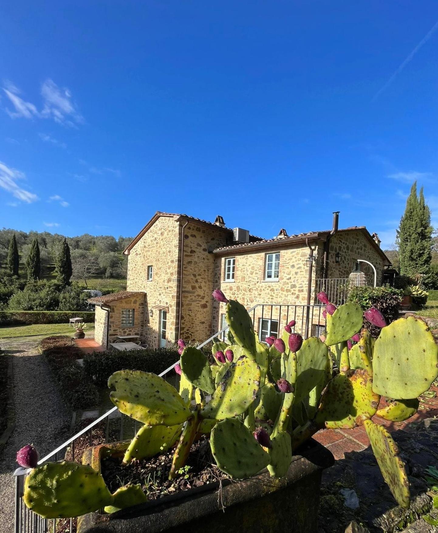 Il Borghetto Andrea Tafi Guest House Lamporecchio Ngoại thất bức ảnh